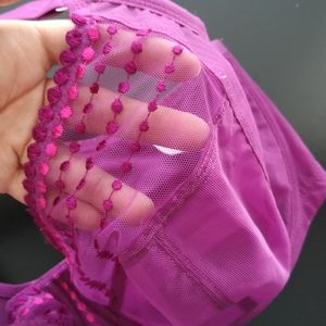 36J Elomi Matilda Magenta